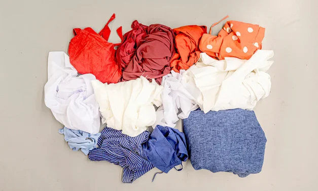 Kijk Vlaggenkunde LIVE! terug … over ONZE vlag!